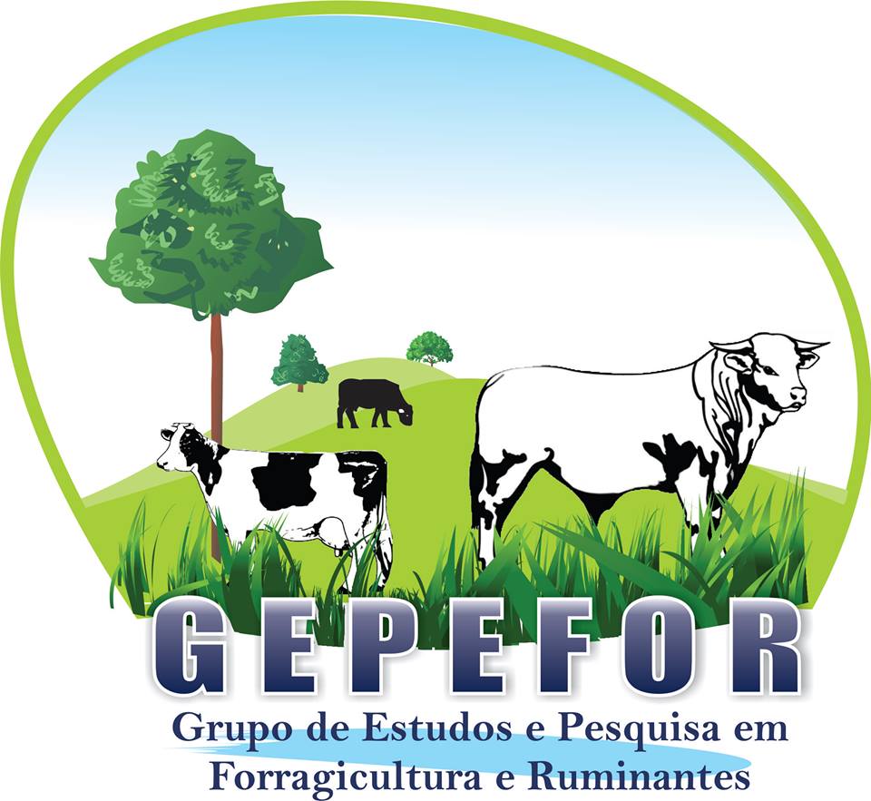 logo gepefor